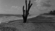 <p>Patience (After Sebald)</p><p>Feature Documentary</p><p>Dir: Grant Gee</p>  <p>Artevents Ltd.</p>